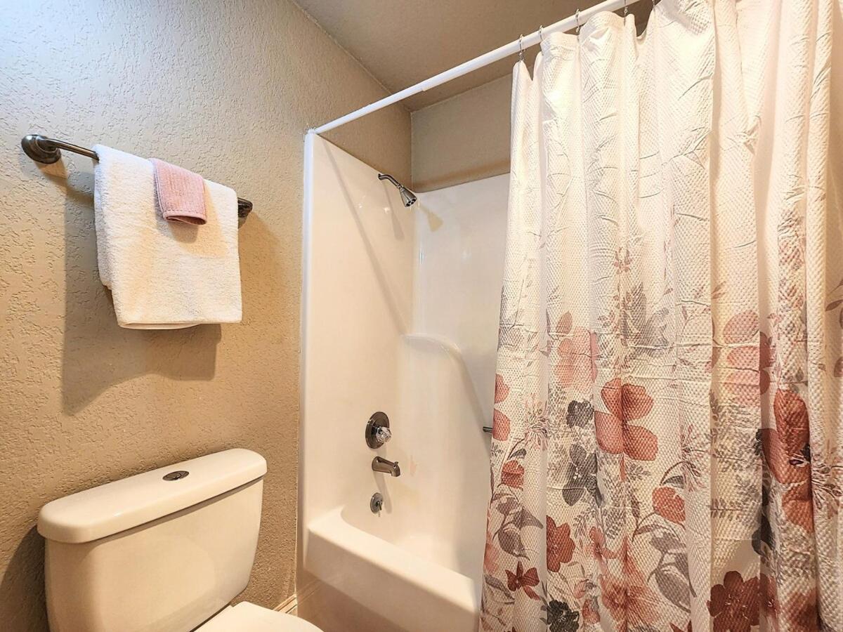 Clearwater Luxe! Apartment Hot Springs